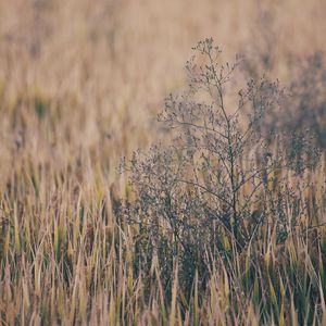 黑丝白虎美女自慰出白浆
